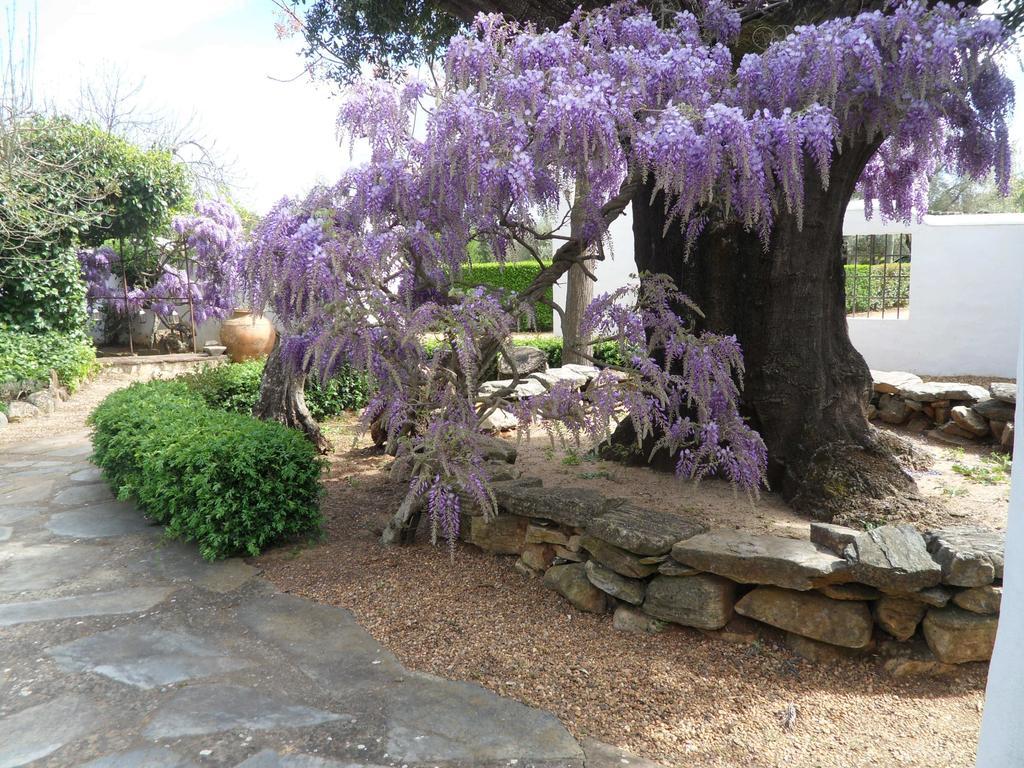 Monte Da Fornalha Bed & Breakfast Borba Exterior foto