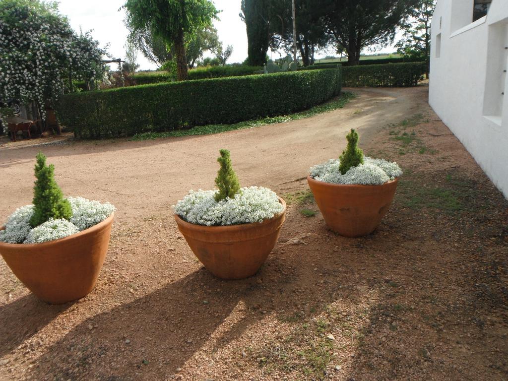 Monte Da Fornalha Bed & Breakfast Borba Exterior foto